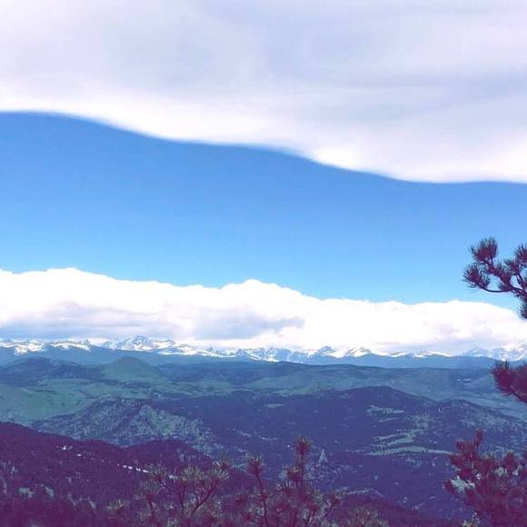 Meet your Posher, Shelby - Picture 1 of 1